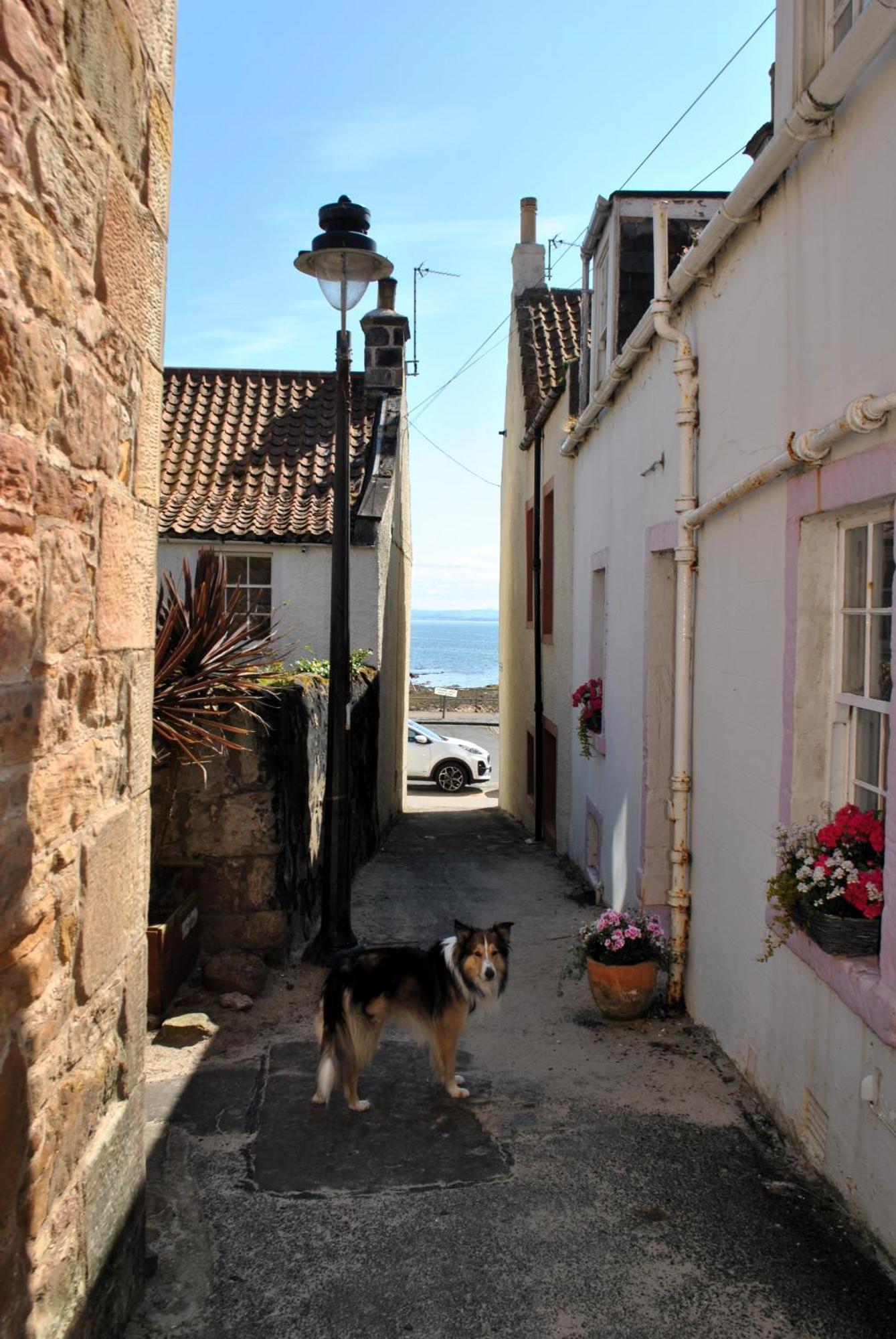Dookers Nook- Quirky Coastal Cottage Pittenweem Εξωτερικό φωτογραφία